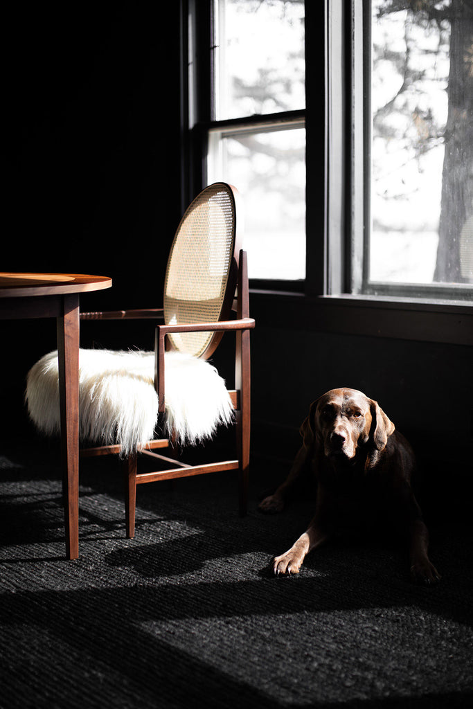 Milo-Baughman-Oval-Cane-Back-Walnut-Arm-Chair-B635-08